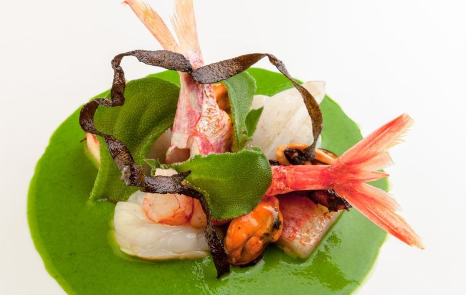 Frutti di mare su crema verde